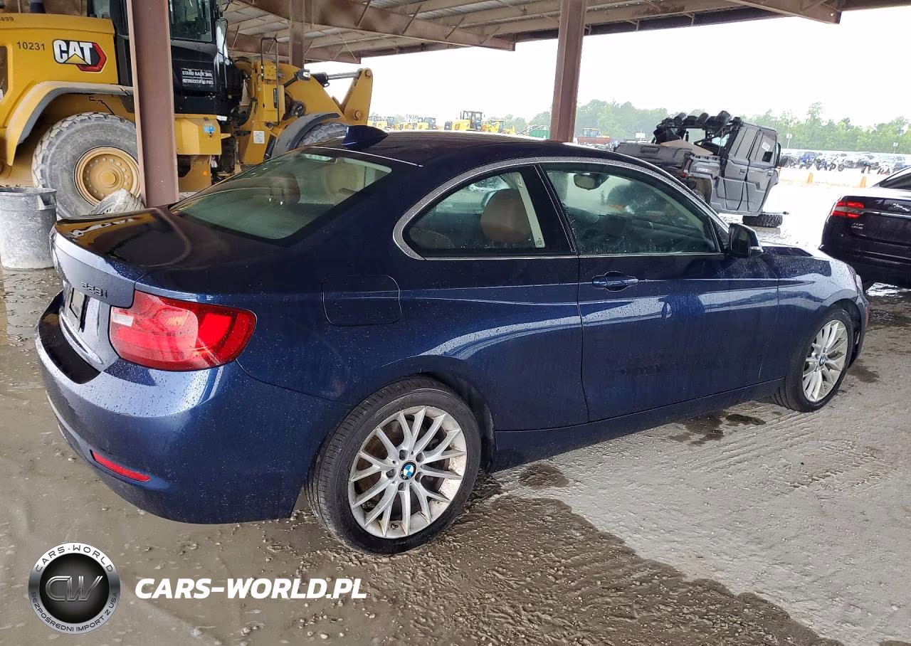 2015 BMW 228 I VIN:WBA1F5C5XFV257540 - 3