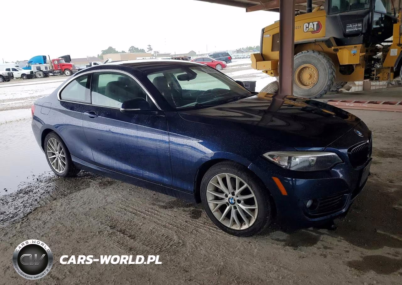 2015 BMW 228 I VIN:WBA1F5C5XFV257540 - 4