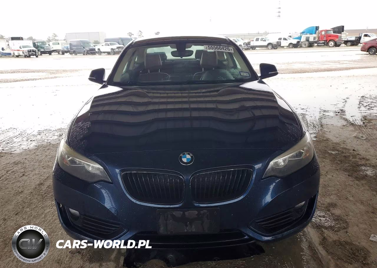 2015 BMW 228 I VIN:WBA1F5C5XFV257540 - 5