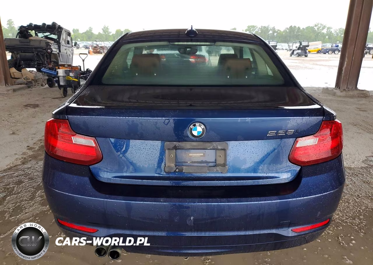 2015 BMW 228 I VIN:WBA1F5C5XFV257540 - 6