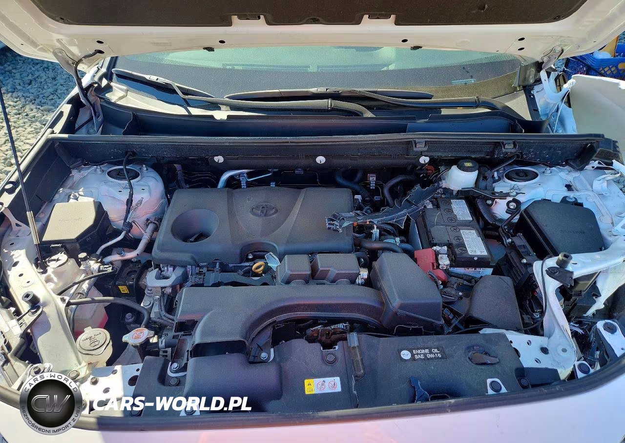 2025 Toyota Rav4 Xle VIN:2T3P1RFV8SW577456 - 12