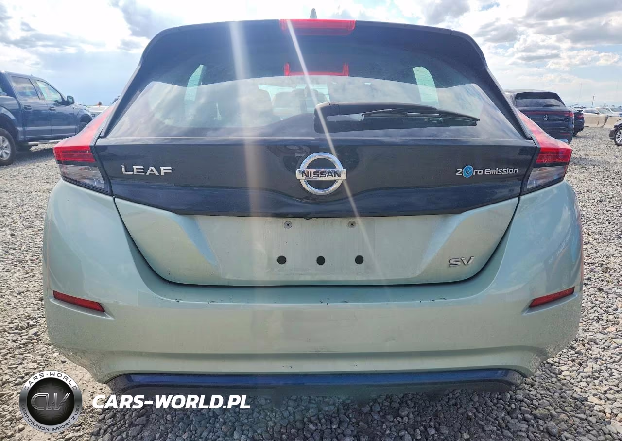 2019 Nissan Leaf Sv VIN:1N4AZ1CPXKC306803 - 6