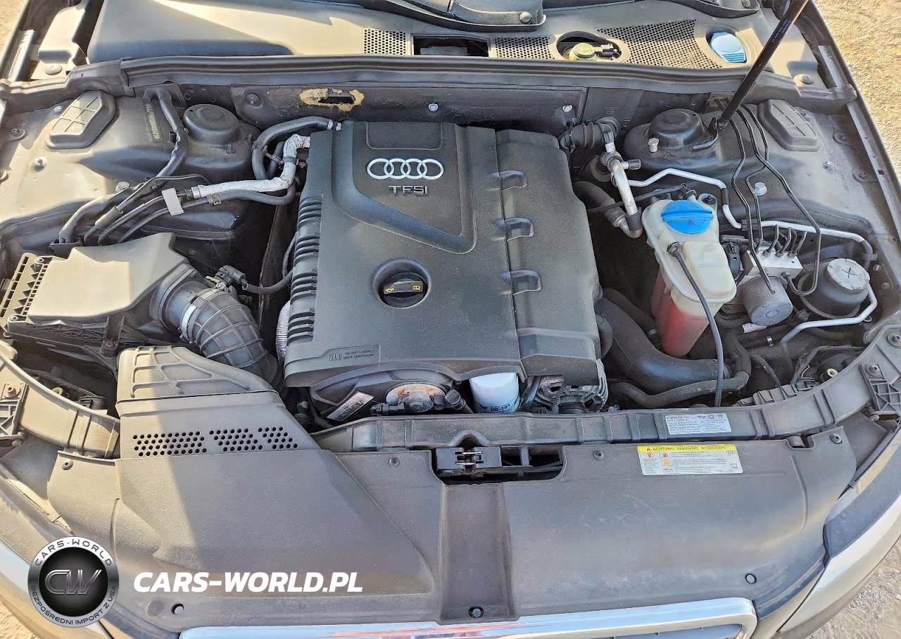 2009 Audi A4 2.0T Quattro VIN:WAULF78K99N068451 - 11