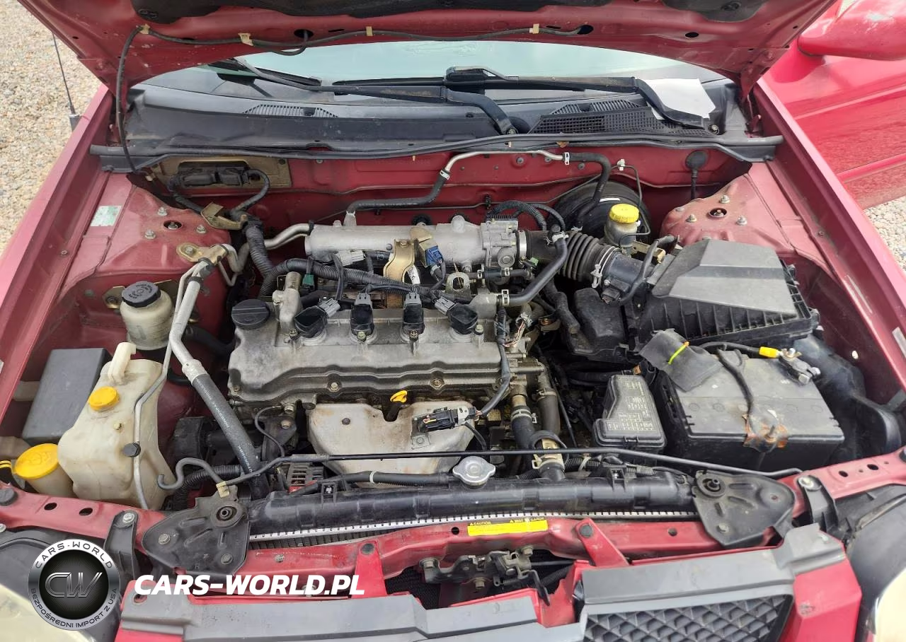 2006 Nissan Sentra VIN:3N1CB51D06L518890 - 11