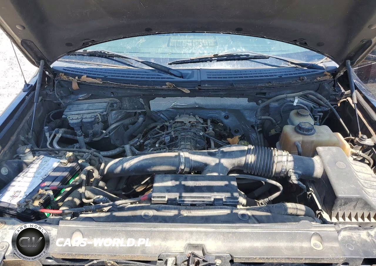 2011 Ford F150 Supercrew VIN:1FTFW1ET4BFB60724 - 11