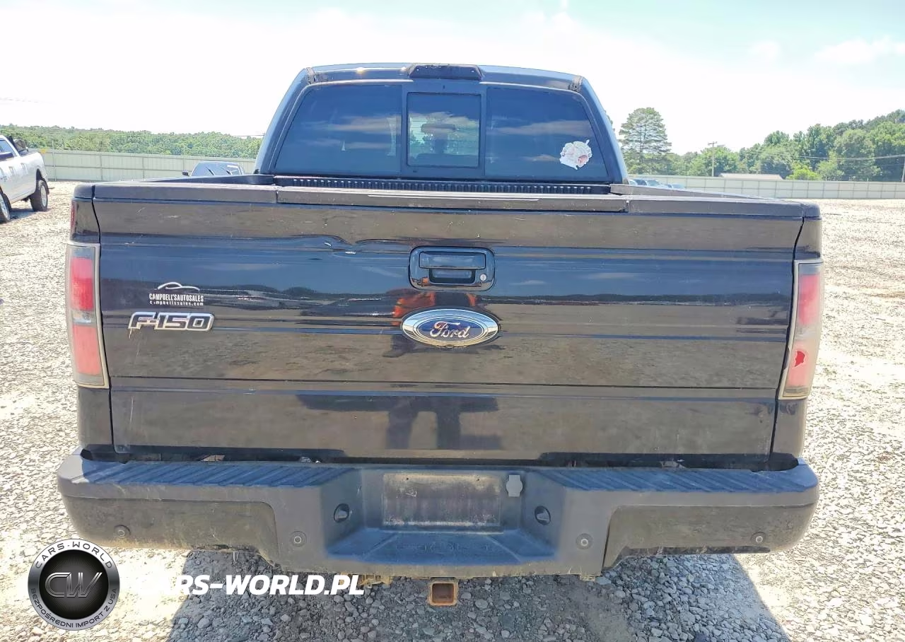 2011 Ford F150 Supercrew VIN:1FTFW1ET4BFB60724 - 6