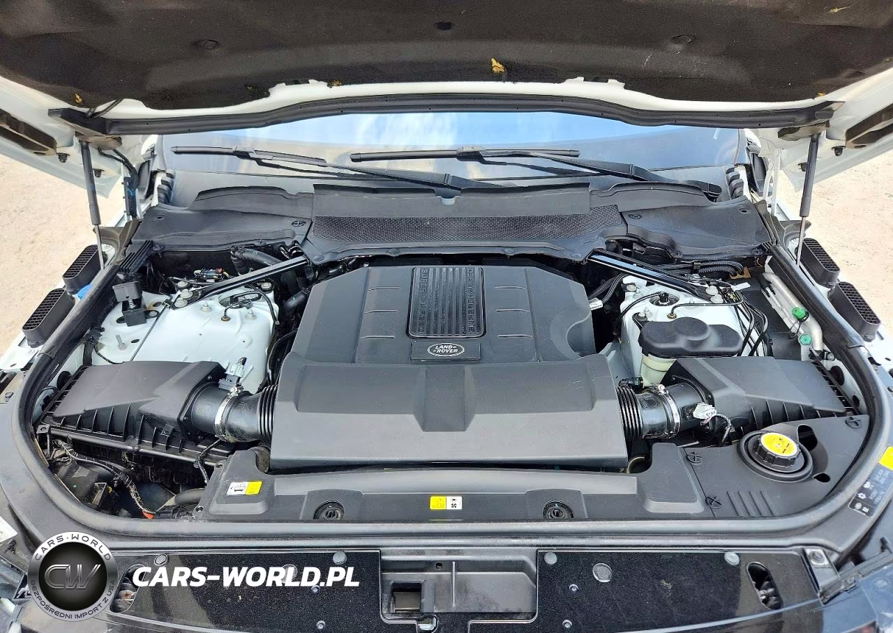 2019 Land Rover Range Rover Supercharged VIN:SALGS5RE1KA539561 - 12