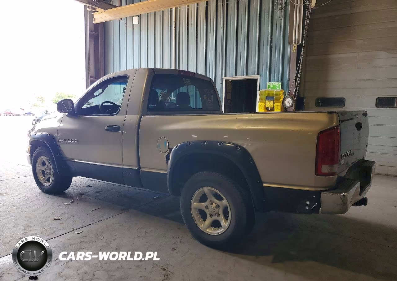 2002 Dodge Ram 1500 VIN:1D7HA16K32J256070 - 2