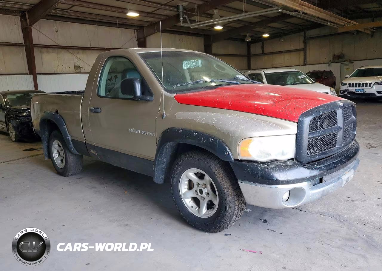 2002 Dodge Ram 1500 VIN:1D7HA16K32J256070 - 4