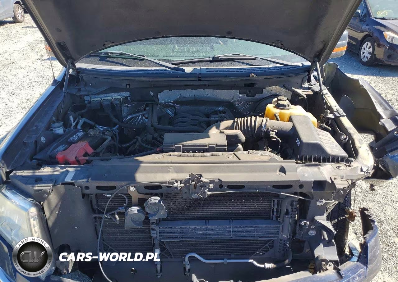 2013 Ford F150 Supercrew VIN:1FTFW1CF4DKF97680 - 11