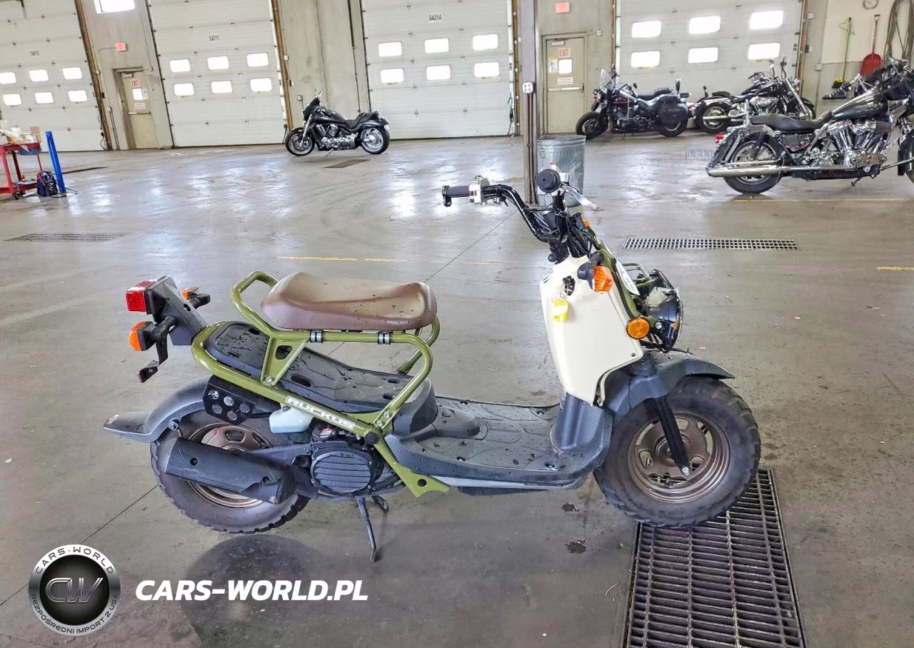 2024 Honda Nps50