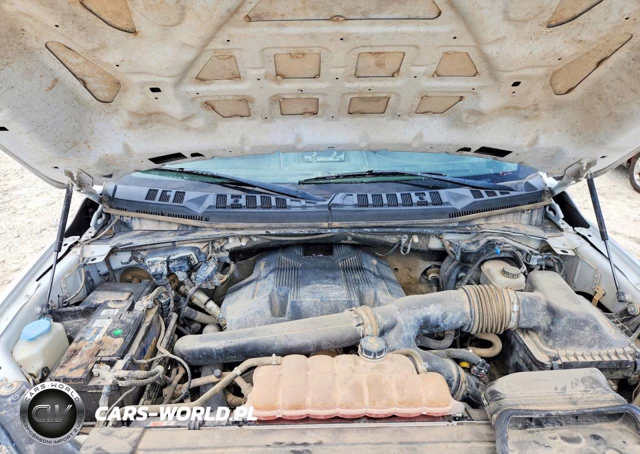 2019 Ford F150 Police Responder VIN:1FTEW1P40KKC25027 - 11