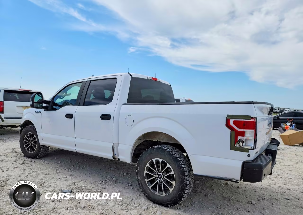 2019 Ford F150 Police Responder VIN:1FTEW1P40KKC25027 - 2