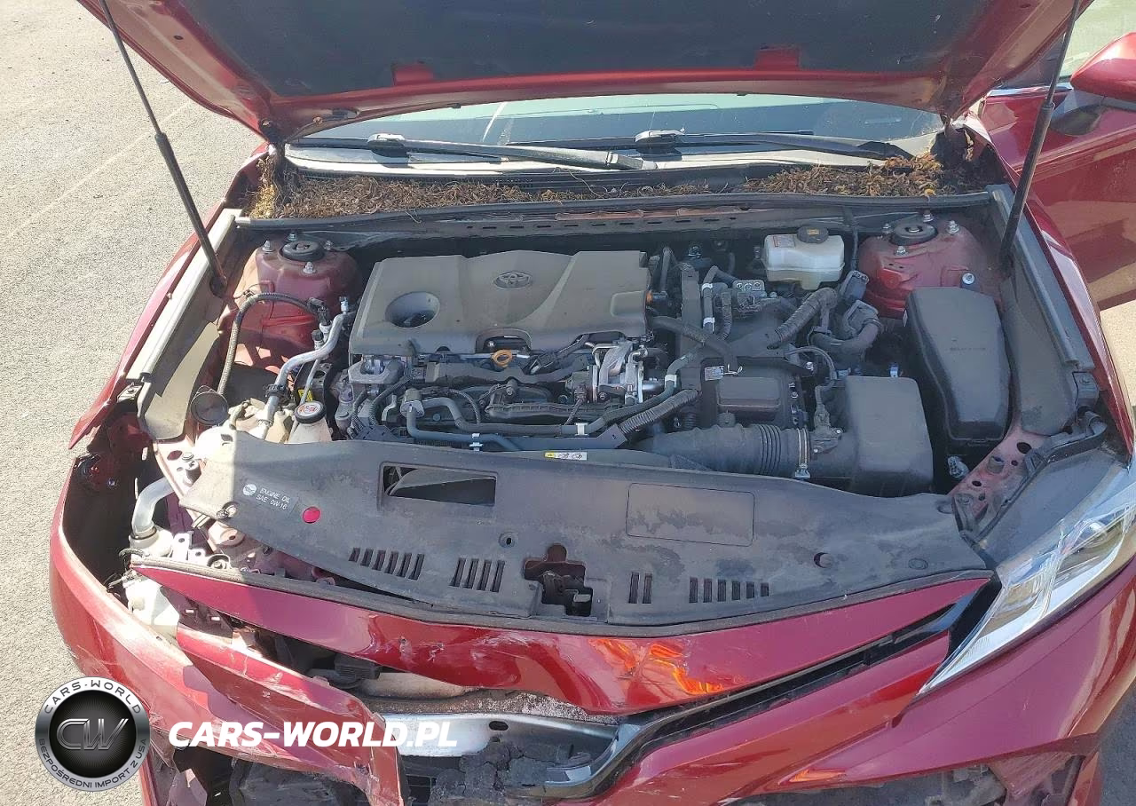 2019 Toyota Camry Le VIN:4T1B31HK1KU516788 - 11