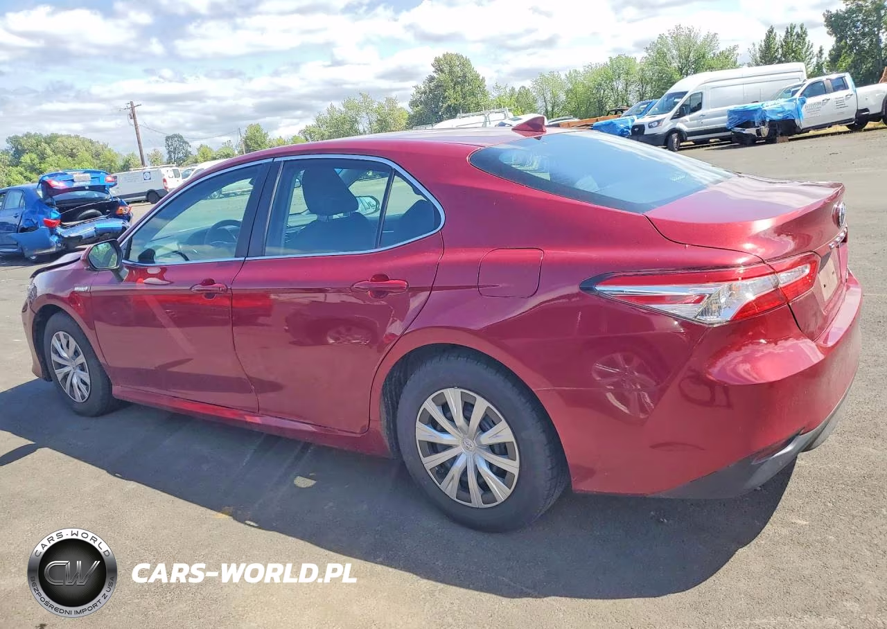 2019 Toyota Camry Le VIN:4T1B31HK1KU516788 - 2