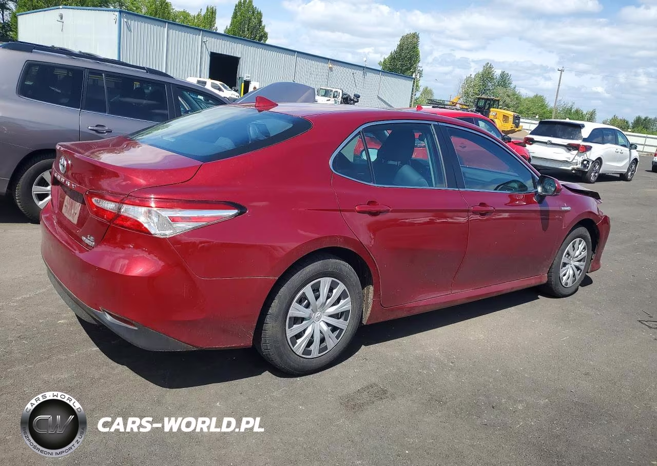 2019 Toyota Camry Le VIN:4T1B31HK1KU516788 - 3