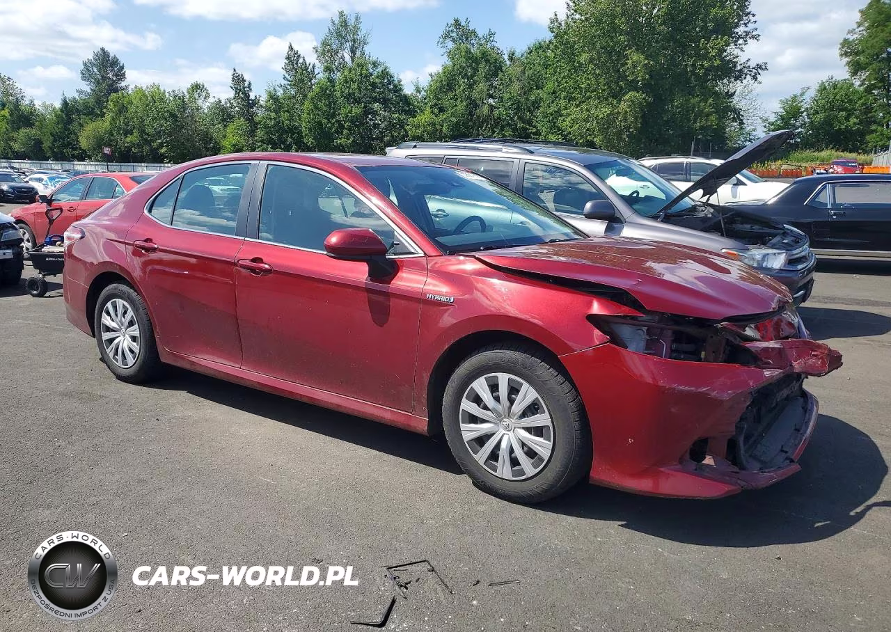 2019 Toyota Camry Le VIN:4T1B31HK1KU516788 - 4