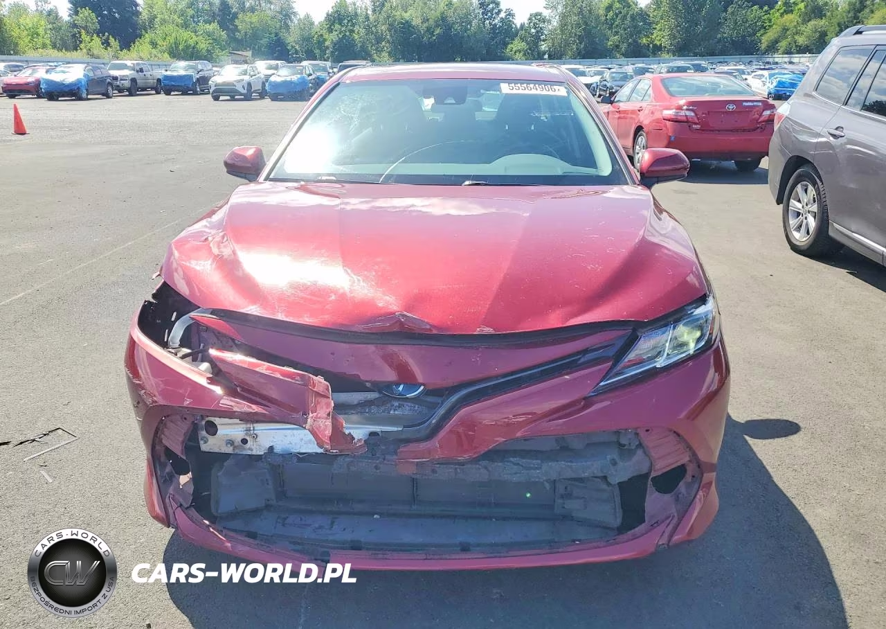 2019 Toyota Camry Le VIN:4T1B31HK1KU516788 - 5