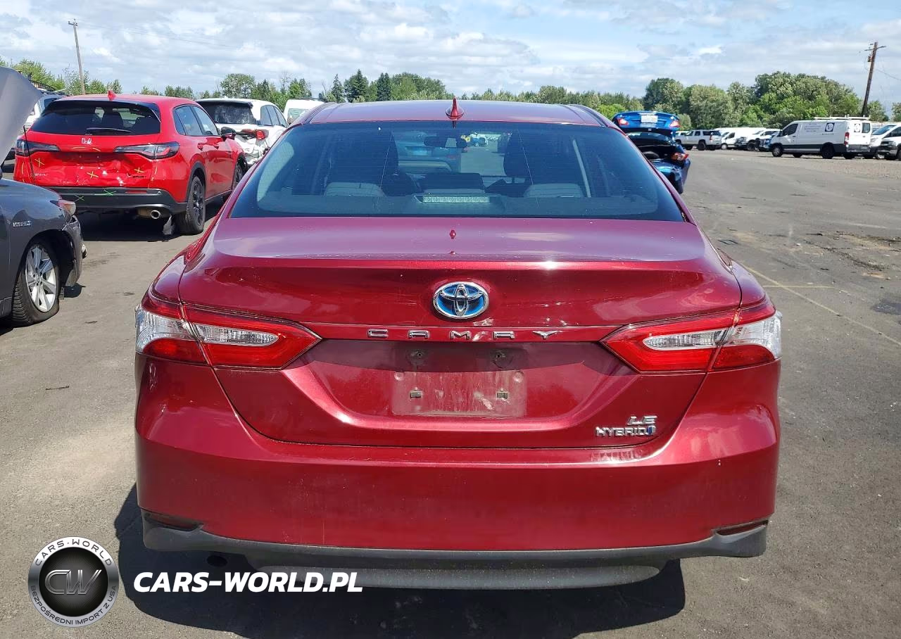 2019 Toyota Camry Le VIN:4T1B31HK1KU516788 - 6