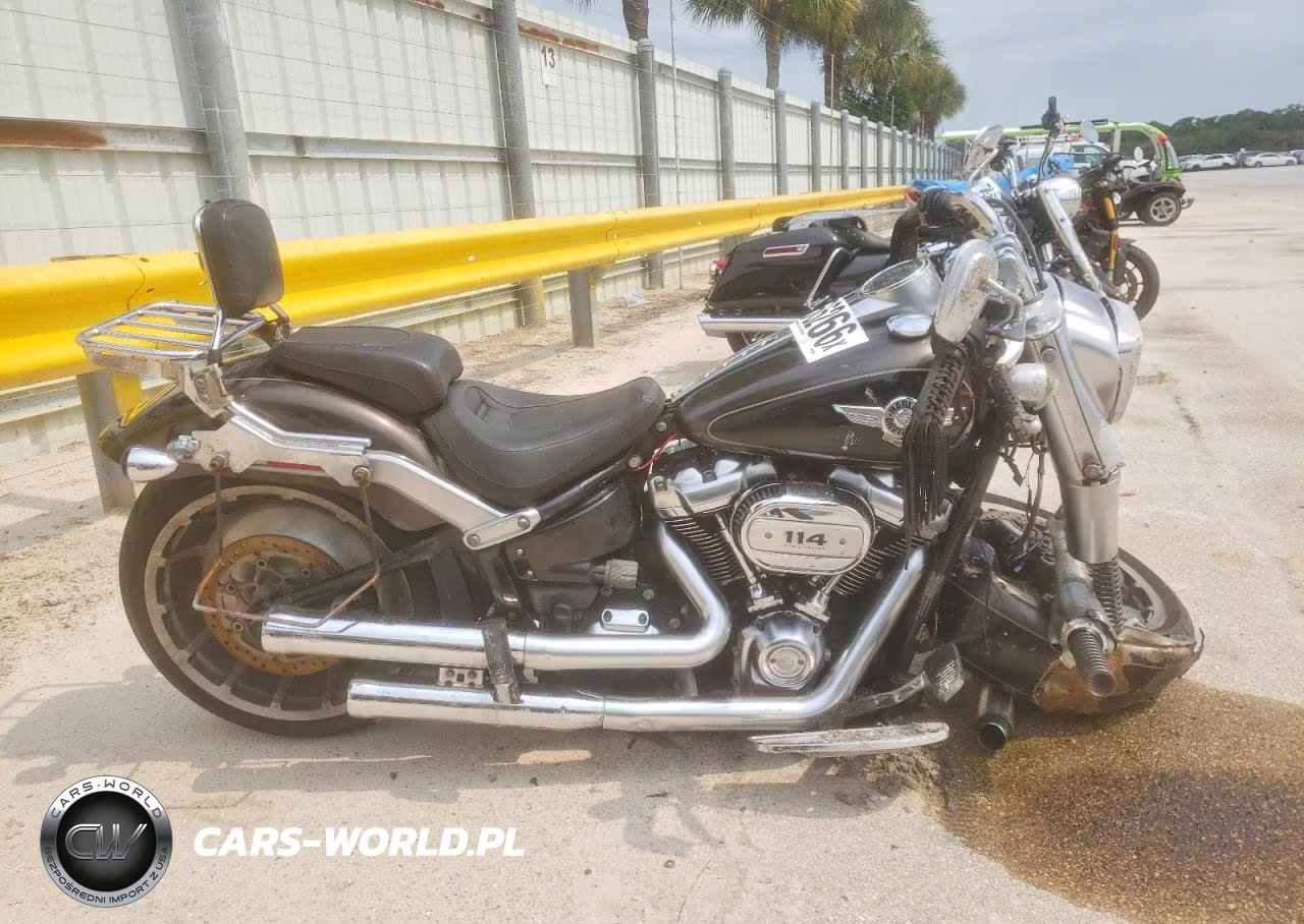 2020 Harley-Davidson Flfbs – zdjęcie 1 z 8