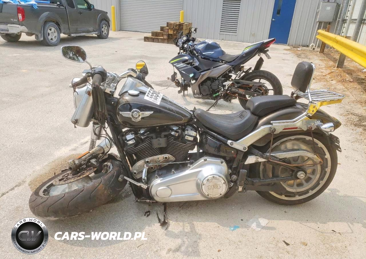 2020 Harley-Davidson Flfbs VIN:1HD1YGK11LB021524 - 3