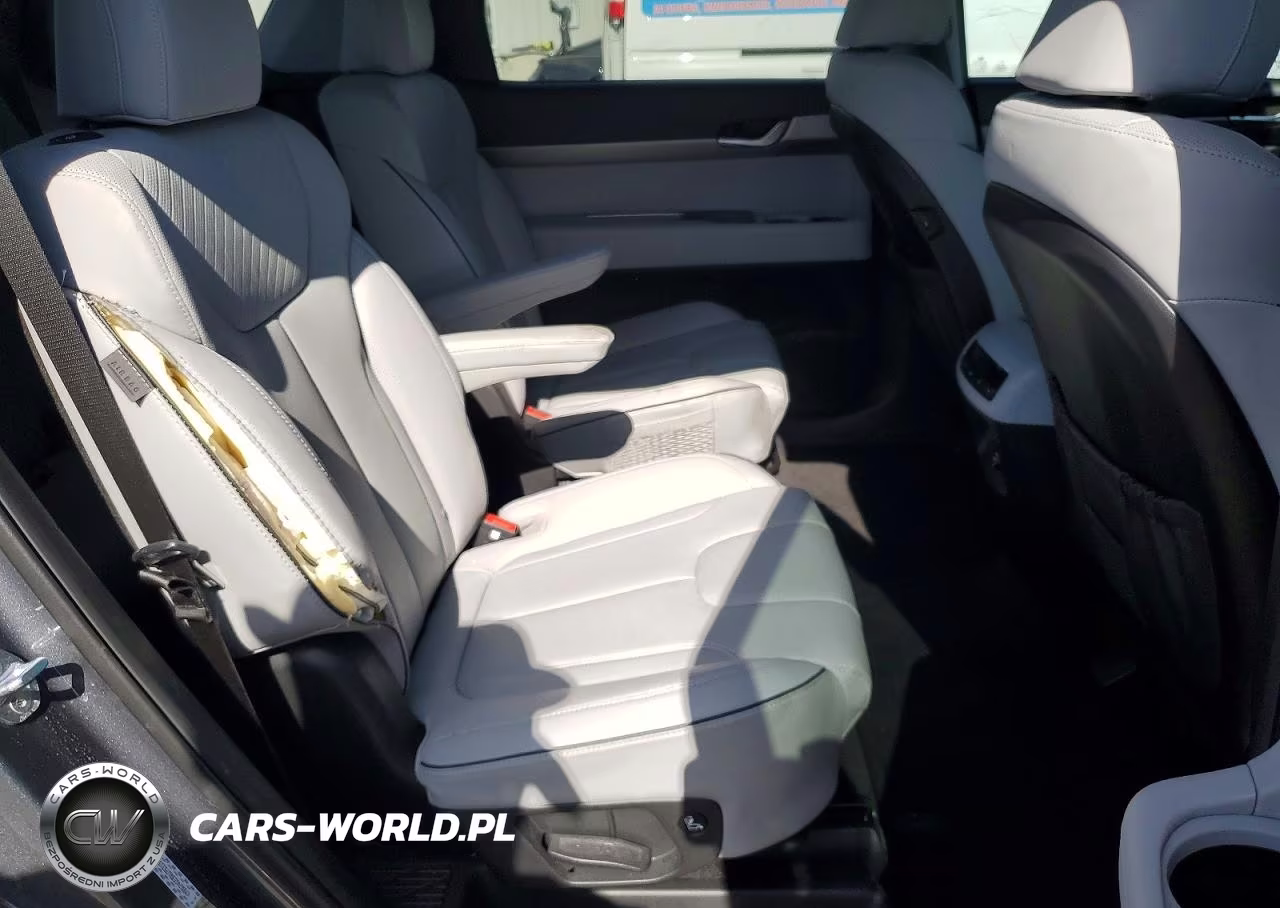 2024 Hyundai Palisade Sel VIN:KM8R24GE8RU753156 - 11