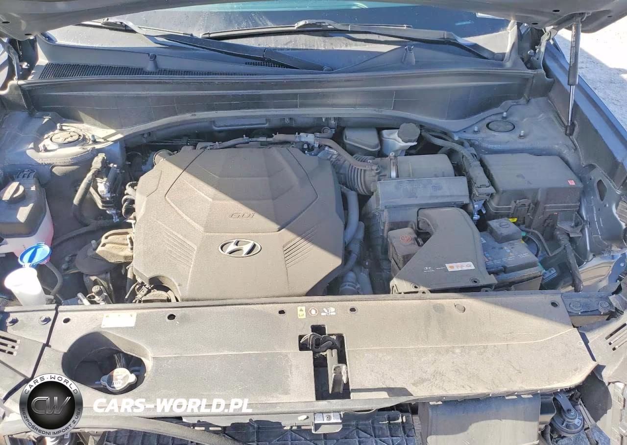2024 Hyundai Palisade Sel VIN:KM8R24GE8RU753156 - 12