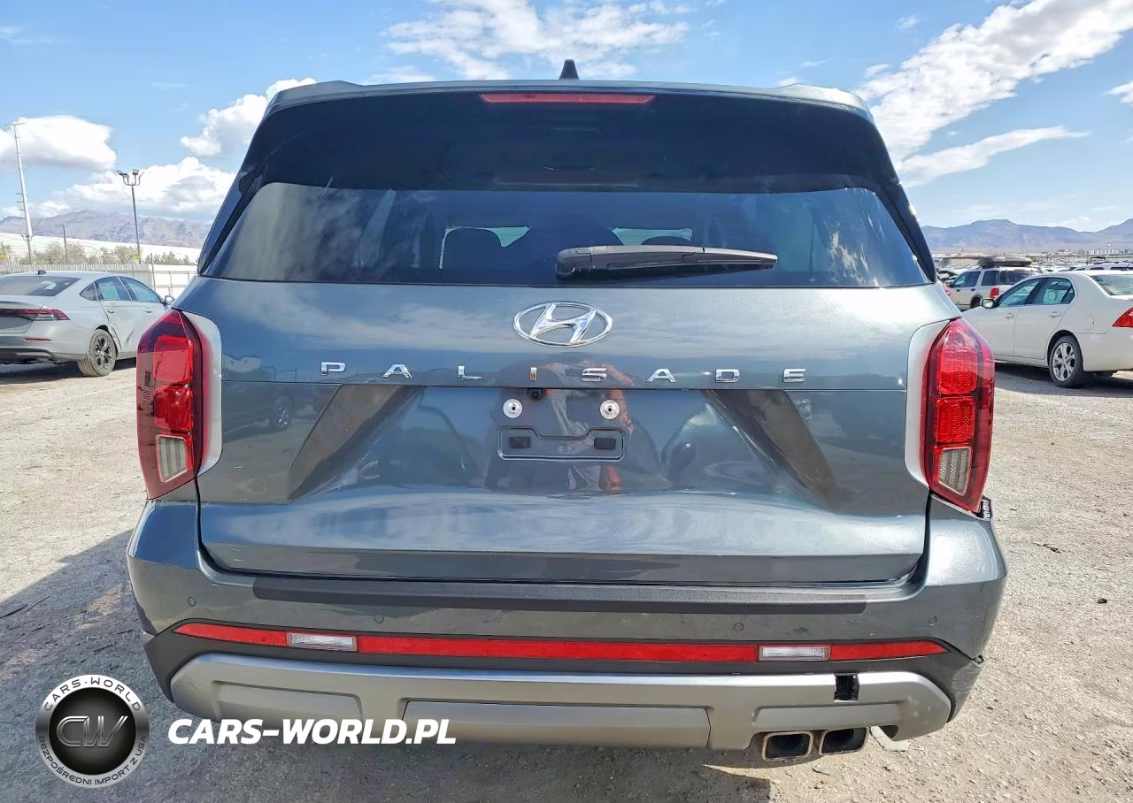 2024 Hyundai Palisade Sel VIN:KM8R24GE8RU753156 - 6