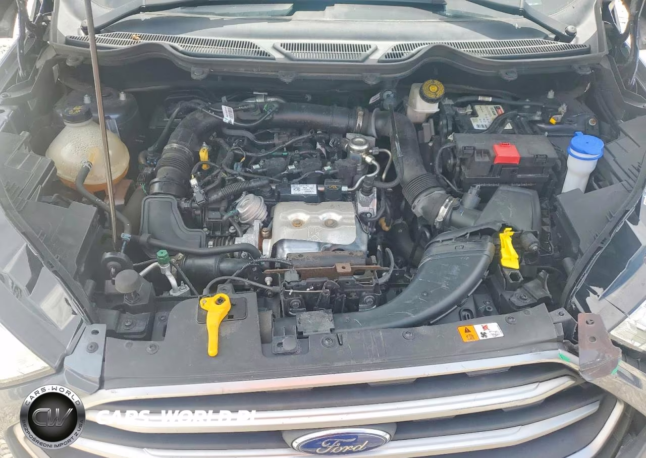 2021 Ford Ecosport Se VIN:MAJ3S2GE5MC456400 - 11