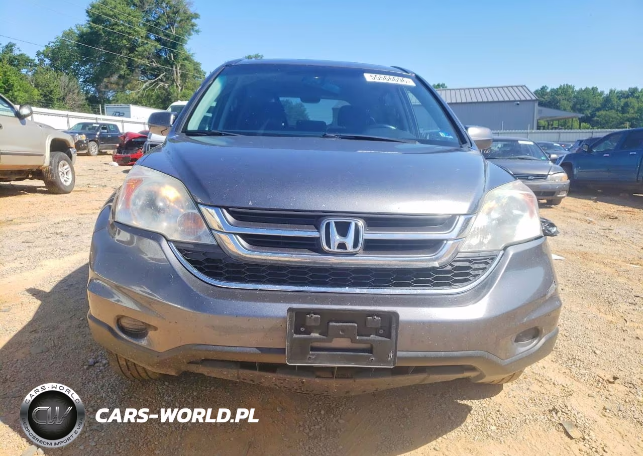 2010 Honda Cr-V Exl VIN:5J6RE4H7XAL032482 - 5