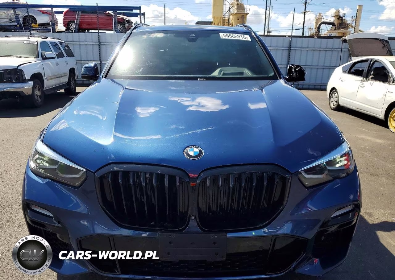 2021 BMW X5 Sdrive40I VIN:5UXCR4C04M9G33559 - 5