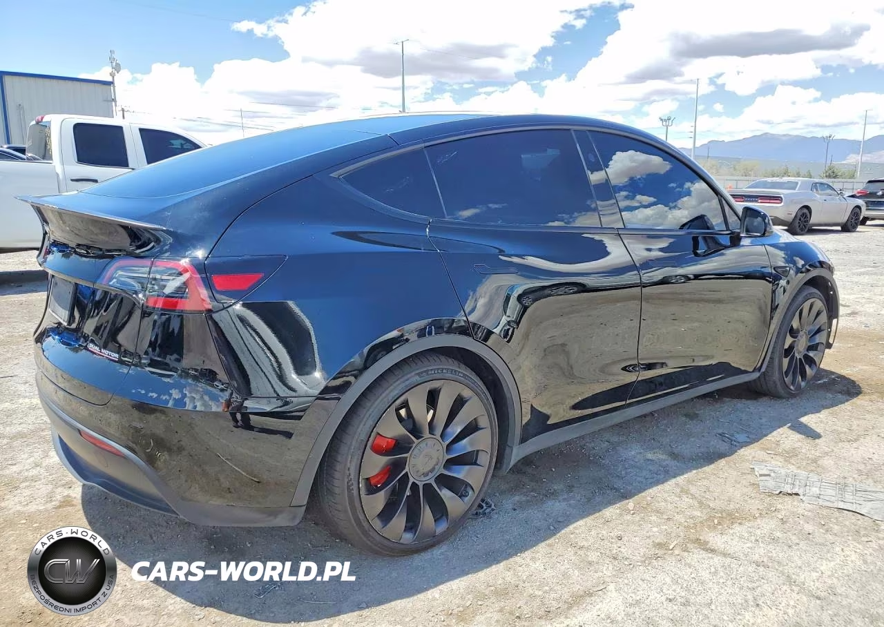 2023 Tesla Model Y VIN:7SAYGDEF7PF899196 - 3