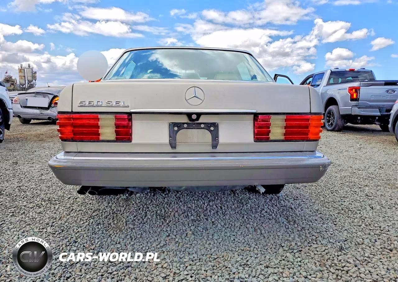 1989 Mercedes-Benz 420 Sel VIN:WDBCA35EXKA466479 - 6