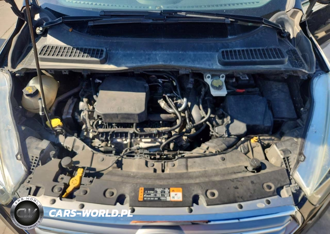 2017 Ford Escape Se VIN:1FMCU0GD7HUA09644 - 12