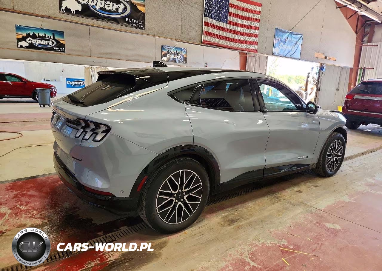 2024 Ford Mustang Mach-E Premium VIN:3FMTK3SU2RMA15940 - 3