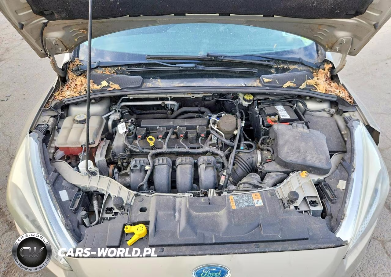 2015 Ford Focus Se VIN:1FADP3F25FL228466 - 11