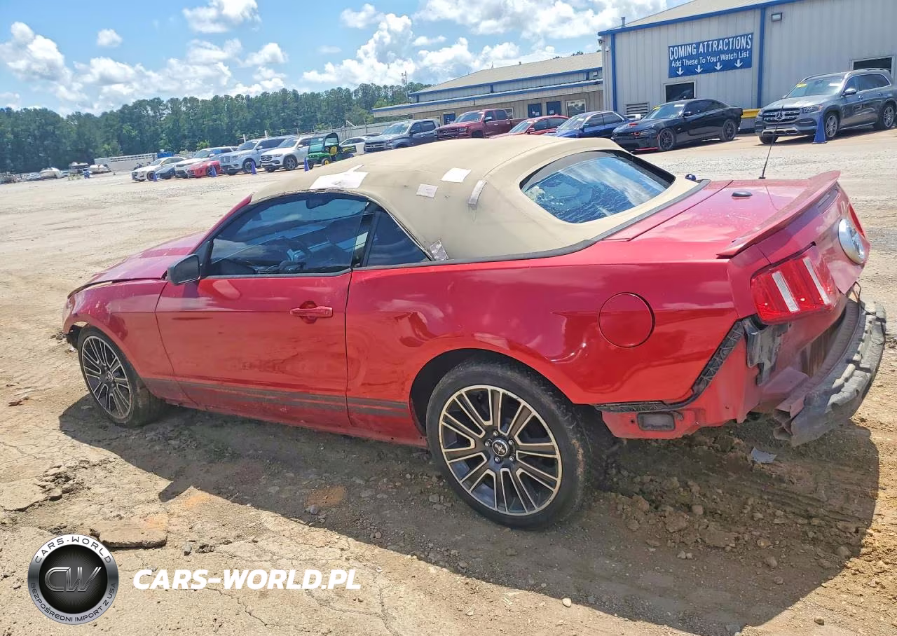 2010 Ford Mustang VIN:1ZVBP8EN3A5116186 - 2