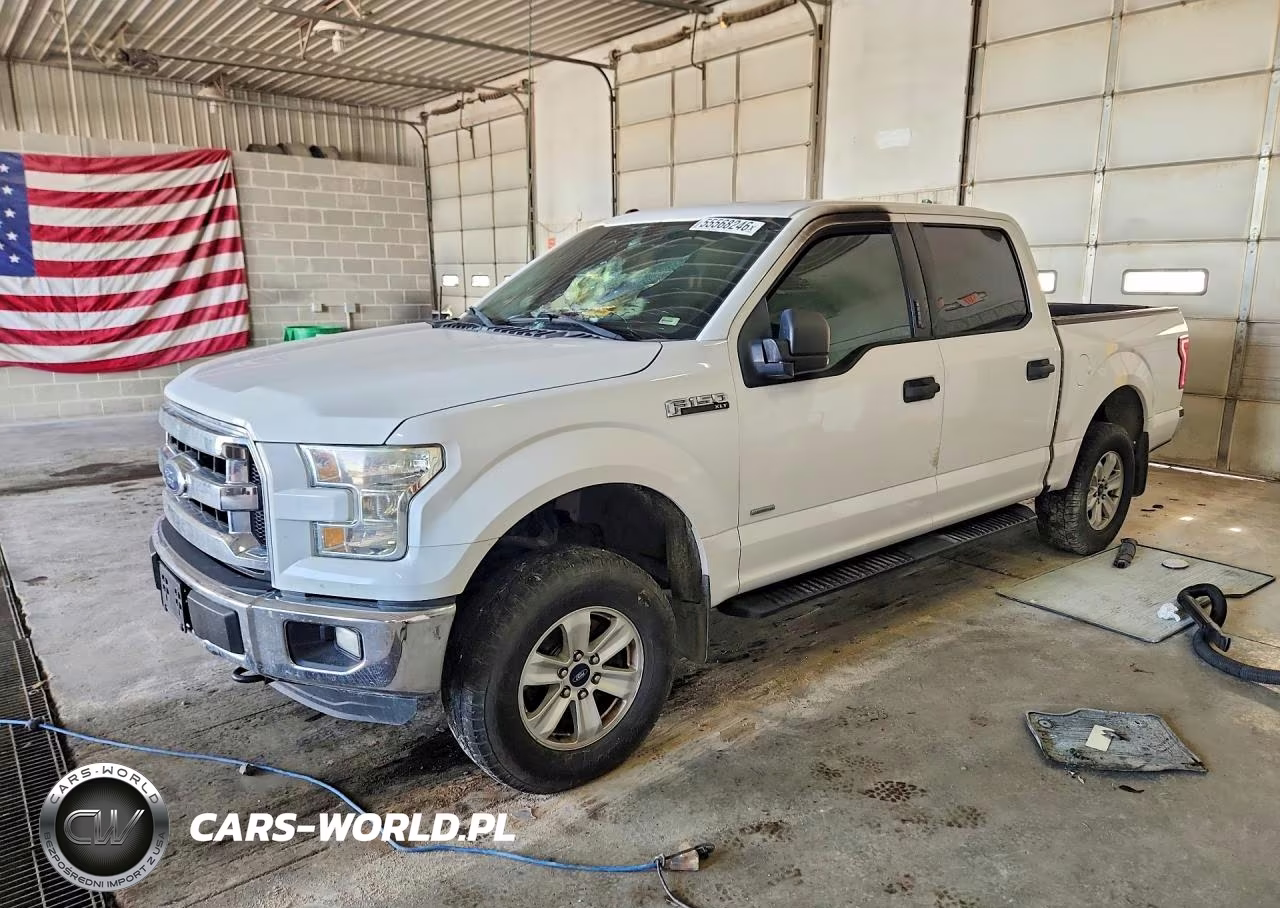 2016 Ford F150 Supercrew VIN:1FTEW1EG4GKE99724 - 1