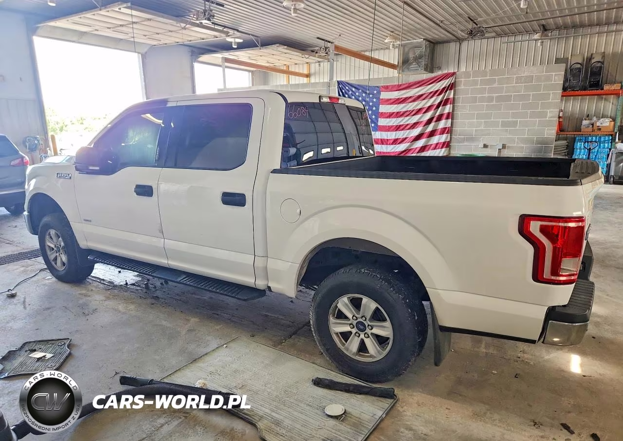 2016 Ford F150 Supercrew VIN:1FTEW1EG4GKE99724 - 2