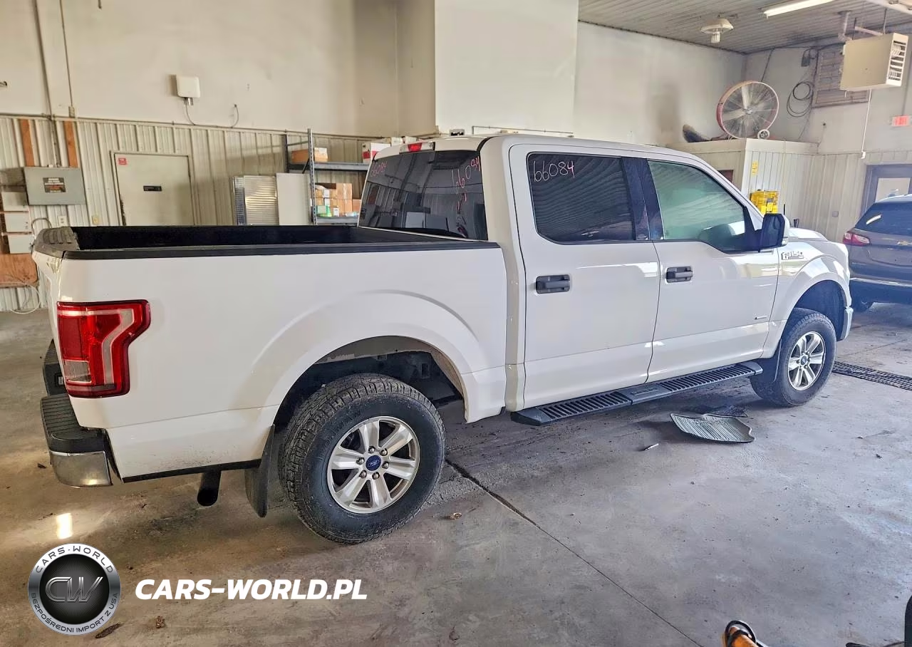 2016 Ford F150 Supercrew VIN:1FTEW1EG4GKE99724 - 3