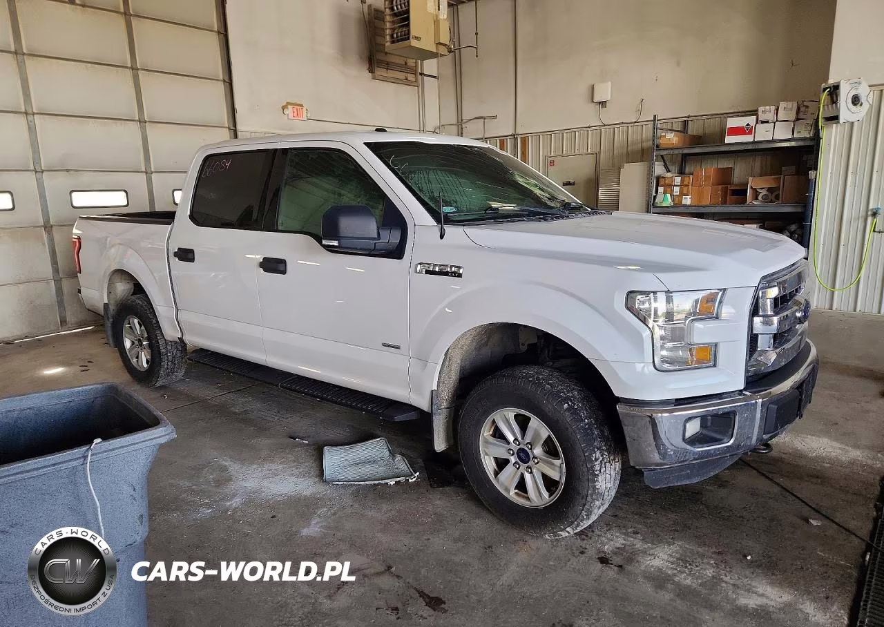 2016 Ford F150 Supercrew VIN:1FTEW1EG4GKE99724 - 4