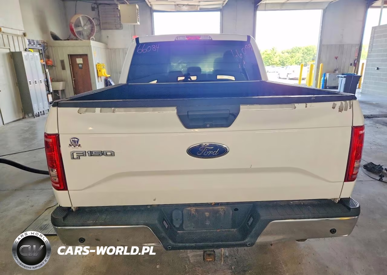 2016 Ford F150 Supercrew VIN:1FTEW1EG4GKE99724 - 6