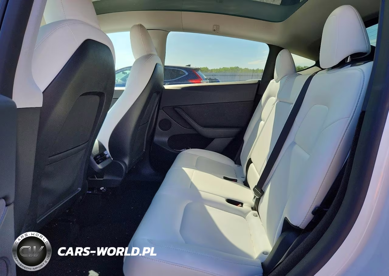 2023 Tesla Model Y VIN:7SAYGDEE1PF802923 - 10