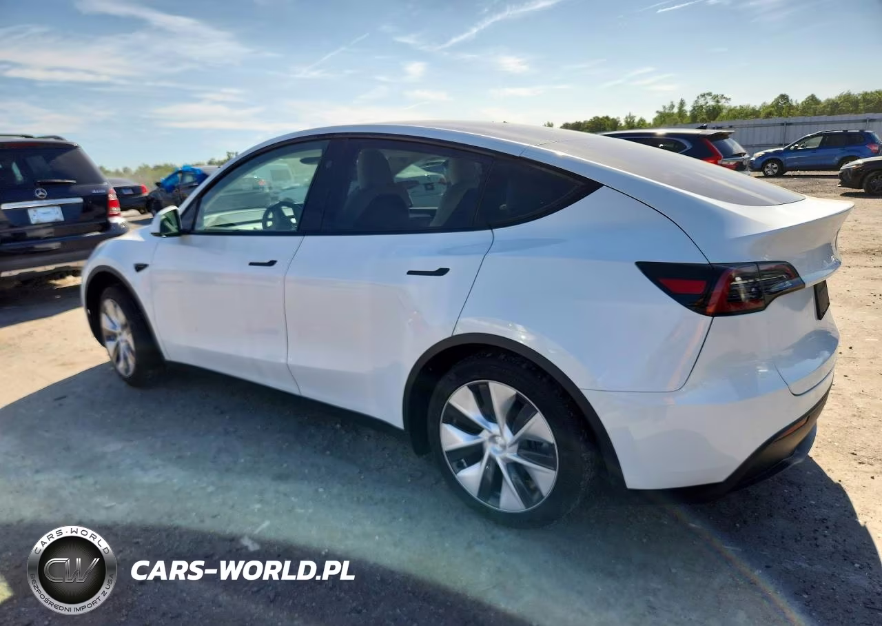 2023 Tesla Model Y VIN:7SAYGDEE1PF802923 - 2