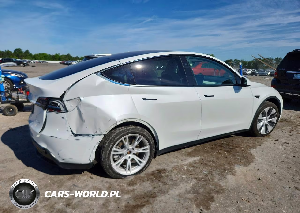 2023 Tesla Model Y VIN:7SAYGDEE1PF802923 - 3