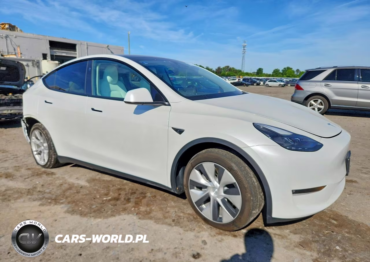 2023 Tesla Model Y VIN:7SAYGDEE1PF802923 - 4