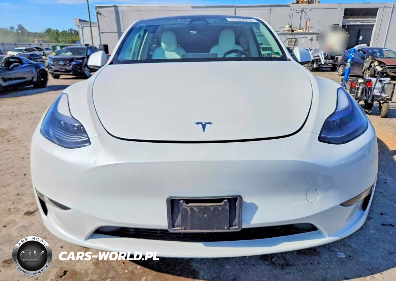 2023 Tesla Model Y VIN:7SAYGDEE1PF802923 - 5