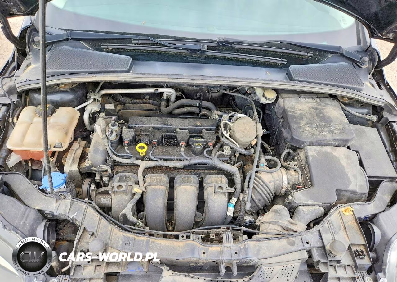 2014 Ford Focus Se VIN:1FADP3K20EL178662 - 12