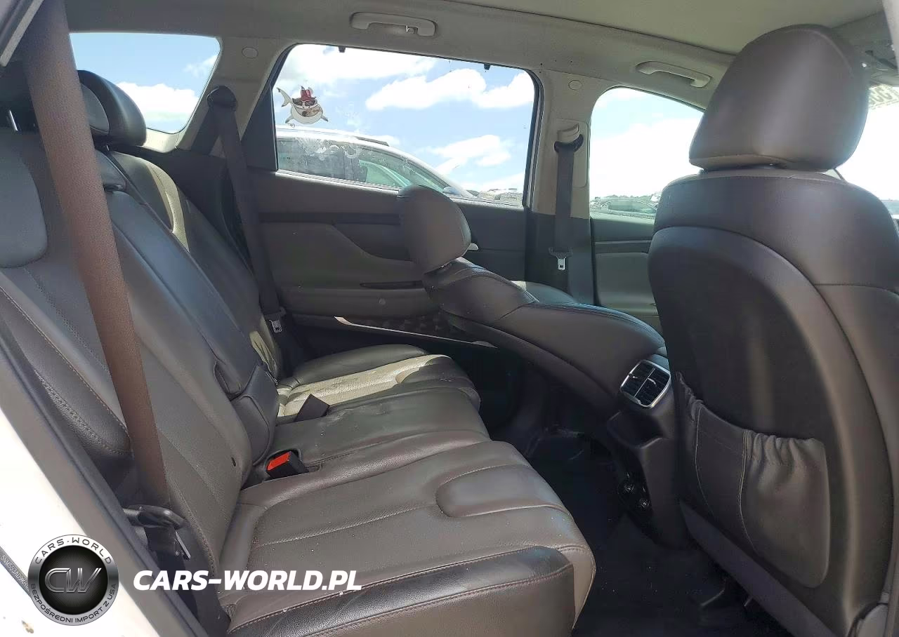 2019 Hyundai Santa Fe Limited 2.4L VIN:5NMS53AD9KH062013 - 10