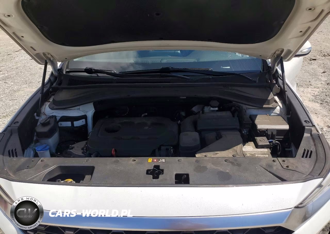 2019 Hyundai Santa Fe Limited 2.4L VIN:5NMS53AD9KH062013 - 11